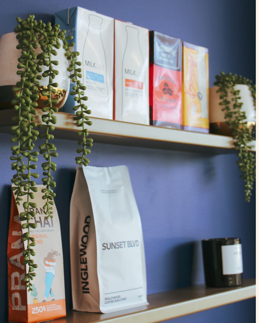 A retail shelf against Drip's blue wall, holding bags of coffee beans and trailing plants